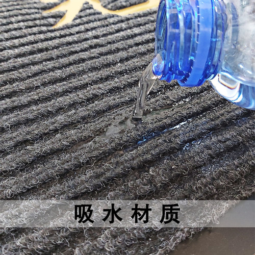 欢迎光临门垫定制地毯logo入户门口地垫商用进门吸水防滑脚垫简约 - 图1