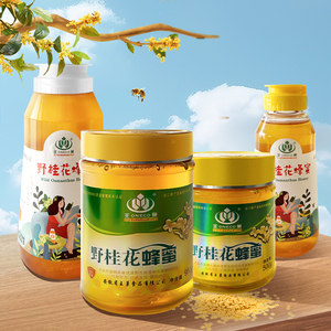 王巢！野桂花蜂蜜500g玻璃瓶/挤压瓶