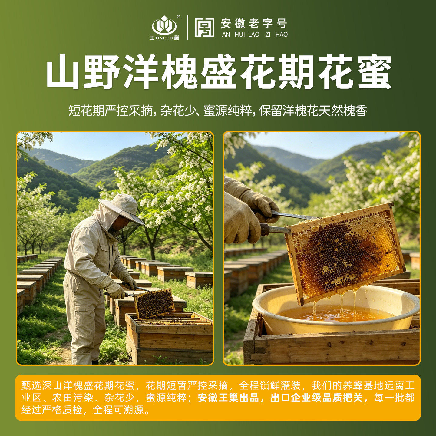 王巢蜂蜜礼品洋槐蜂蜜制品农家自产土蜂蜜礼盒槐花蜜中高档送礼品