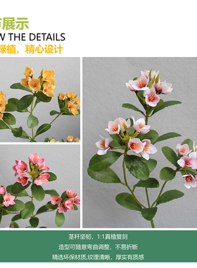 造型奇异的仿真绿植物海岛春花