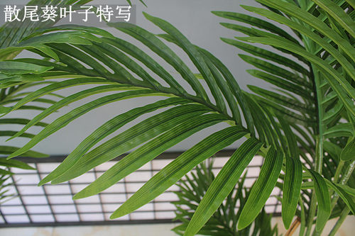 仿真假葵树珍珠葵竹凤尾葵植物绿植室内客厅家居酒店特大盆栽装饰 - 图2