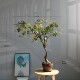 High-end simulated green plant teahouse Zen Chinese style ornaments