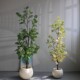 Simulated green plants high-end light luxury snowflake wood