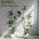 Simulated green plant rubber fiddle leaf fig artificial flower tree living room