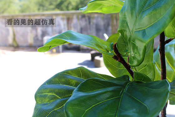 High-end simulated green plant fig leaf magnolia tree