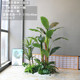 Simulated green plant set window floor greening decoration
