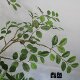 High-end simulated green plants, red wood bonsai, plant landscape ornaments under the stairs, villa shop window landscaping decoration