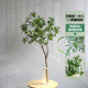 Simulated horse drunken wood green plants high-end light luxury living room hotel shop TV cabinet B&B decorative ornaments floor-standing fake plants