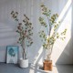 Bizarre simulated green plant island spring flowers