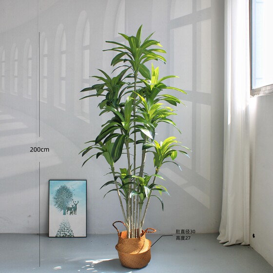 High-end large simulated green fake plant bonsai Brazilian wood