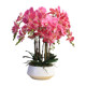 High-end simulated Phalaenopsis bonsai 3D printed petals