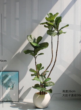 仿真绿植物橡皮琴叶榕假花树客厅