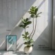 Simulated green plant rubber fiddle leaf fig artificial flower tree living room