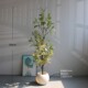 Simulated green plants high-end light luxury snowflake wood