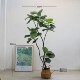 High-end simulated love ficus potted plant for interior decoration