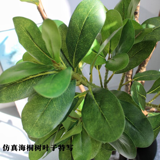 Simulated Pittosporum bonsai indoor living room decoration