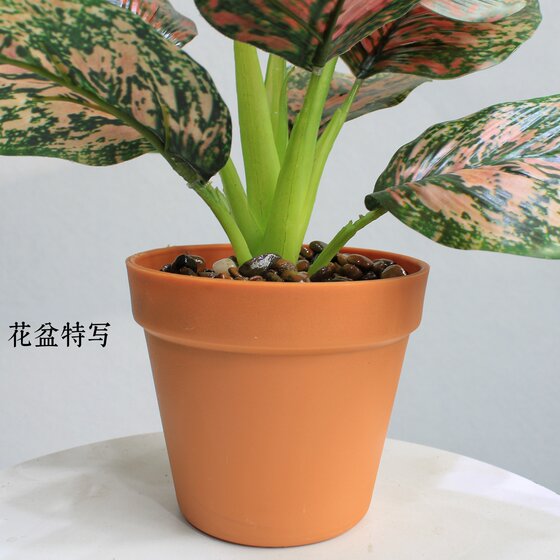 High-end simulated evergreen indoor potted plants