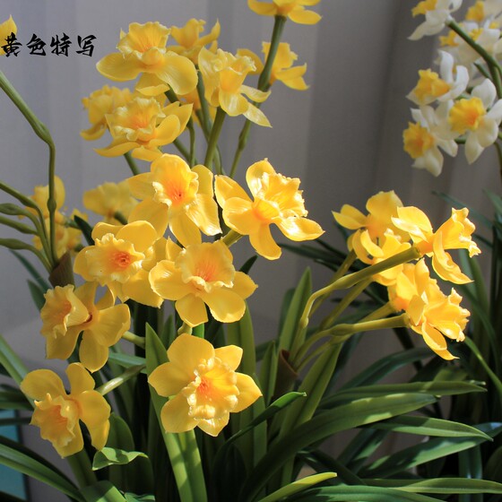 High-end simulated green plant indoor fake narcissus bonsai