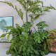 High-end simulated green plant indoor fern tree landscaping combination