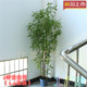 High-end simulated plant golden purple bamboo landscaping floor-to-ceiling