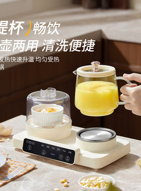 泉尔思养生壶家用多功能办公室小型早餐蒸蛋器全玻璃烧水壶煮茶器