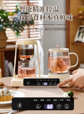 双座养生壶2025新款小型办公室恒温烧水壶送礼物双杯煮茶器花茶壶