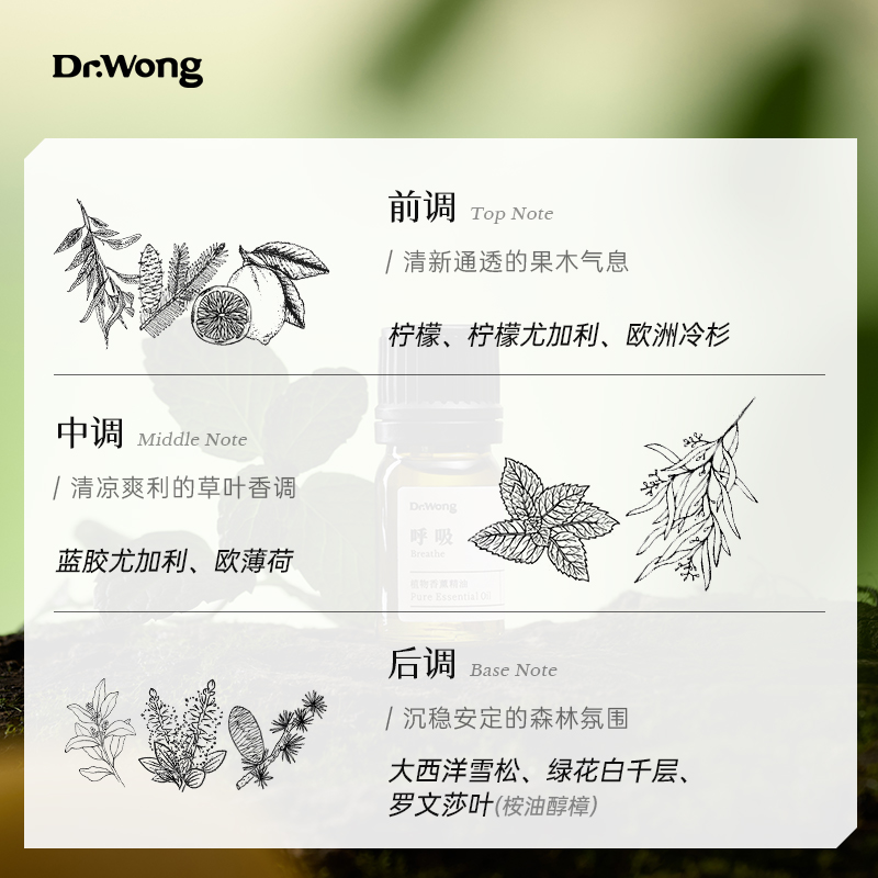 Dr.Wong「呼吸」复方精油通鼻清凉通透净化空气顺畅呼吸香薰精油 - 图0