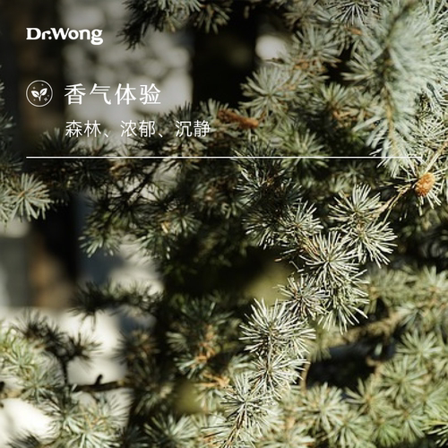 Dr.Wong大西洋雪松单方精油香气浑厚天然植物精油香薰 - 图0