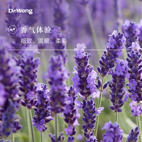 Dr.Wong真实薰衣草单方精油甜美细致温暖安抚植物精油香薰扩香 - 图0