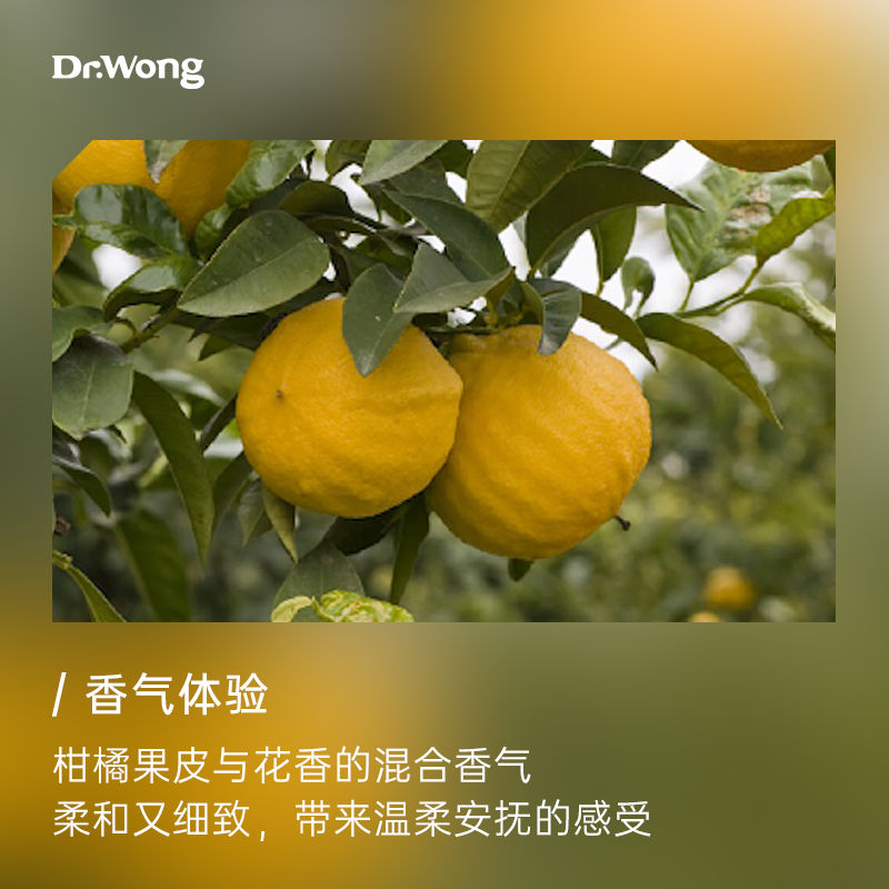 Dr.Wong 佛手柑单方植物精油香薰扩香香气清雅舒缓情绪纾解忧郁 - 图0