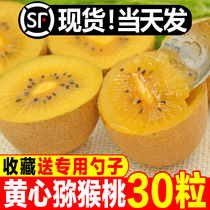 Bhujiang Yellow Heart Macaque Peach Fresh 30 When Season Sweet Pregnant Women Fruits Now Off The Macaque Peach Golden Chic Exotic Fruits