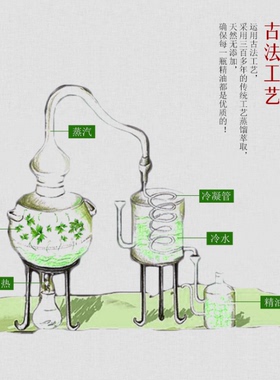 艾草精油艾叶纯艾灸油正品身体按摩通经络全身排毒刮痧温灸蕲艾油