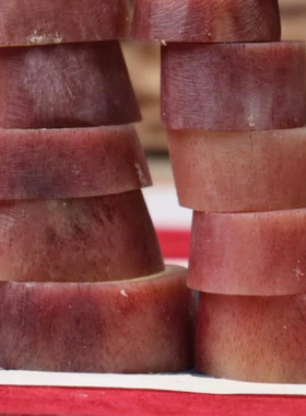 天然高密度未脱脂骆驼骨切片未打磨随型骨圈吊坠DIY配饰跑环泡酒