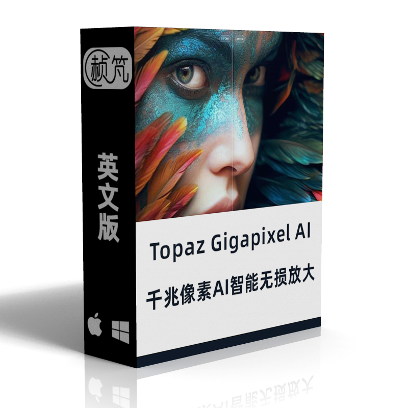 Topaz Gigapixel AI 7.2.0中文图片低像素增强无损放大模糊变清晰 - 图3