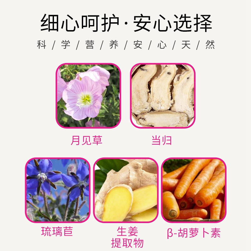 澳海海外专营店【美国原版】安利纽崔莱月见草油胶囊 当归琉璃苣 内分泌健康0