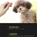 Chó con điên Teddy Kejibi Xiong Bomei chú chó nhỏ nói chung thức ăn cho chó lông đẹp 500g một pound - Chó Staples royal canin cho chó Chó Staples