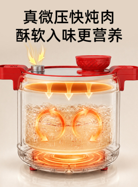 WIFER2.2L多功能电煮锅蒸煮炖