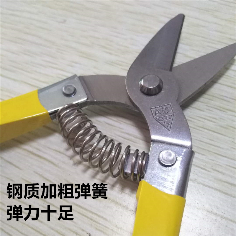 正品A级罗不锈钢果剪摘果剪采柑桔剪蔬果剪果剪刀圆头小型果子剪,淘宝优惠券,粉丝福利购,淘宝优惠卷