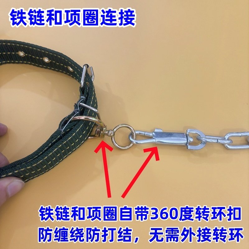 防咬狗链子小型犬中型犬大型犬狗狗项圈栓狗铁链牵引绳脖套遛狗绳 - 图1