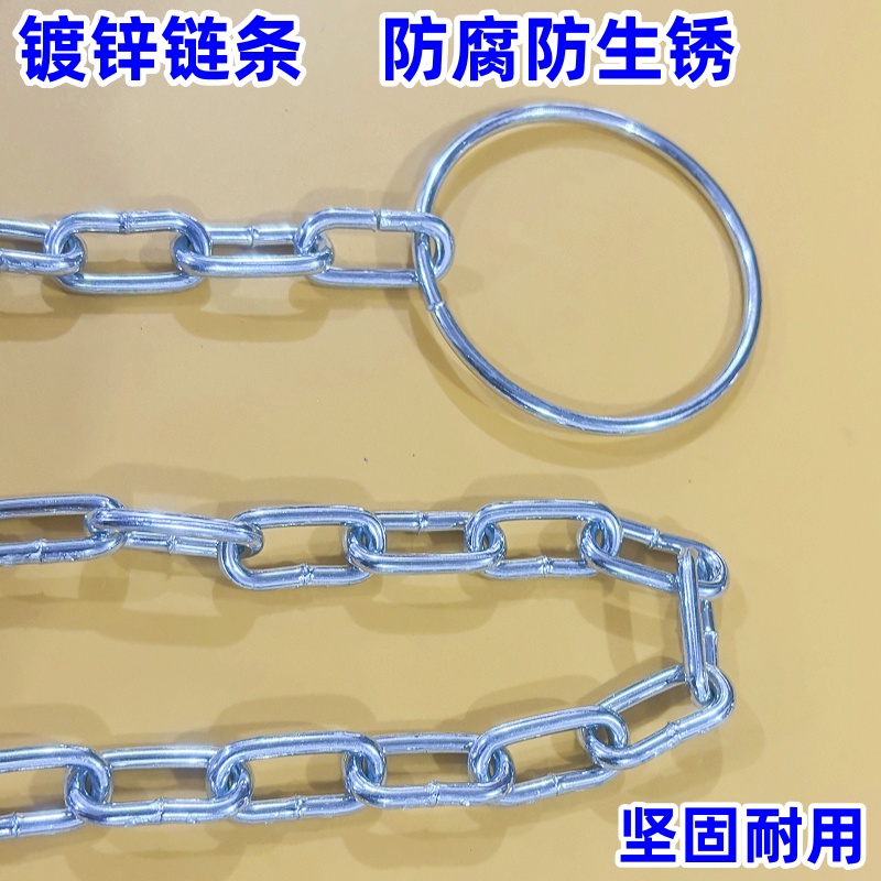 防咬狗链子小型犬中型犬大型犬狗狗项圈栓狗铁链牵引绳脖套遛狗绳 - 图0
