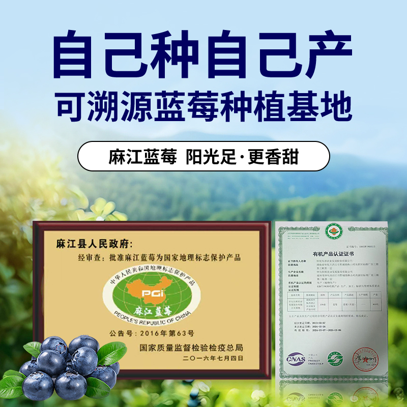 【有机蓝莓原浆】可溯源麻江有机蓝莓NFC原榨非浓缩
