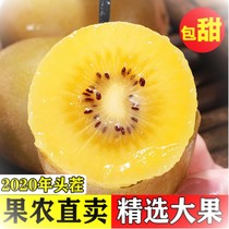 Sichuan Yellow Heart Chipagin 5 catties When season fresh fruit chic exotic fruits Burnt Peach non-red Heart Walnut Whole Box 10
