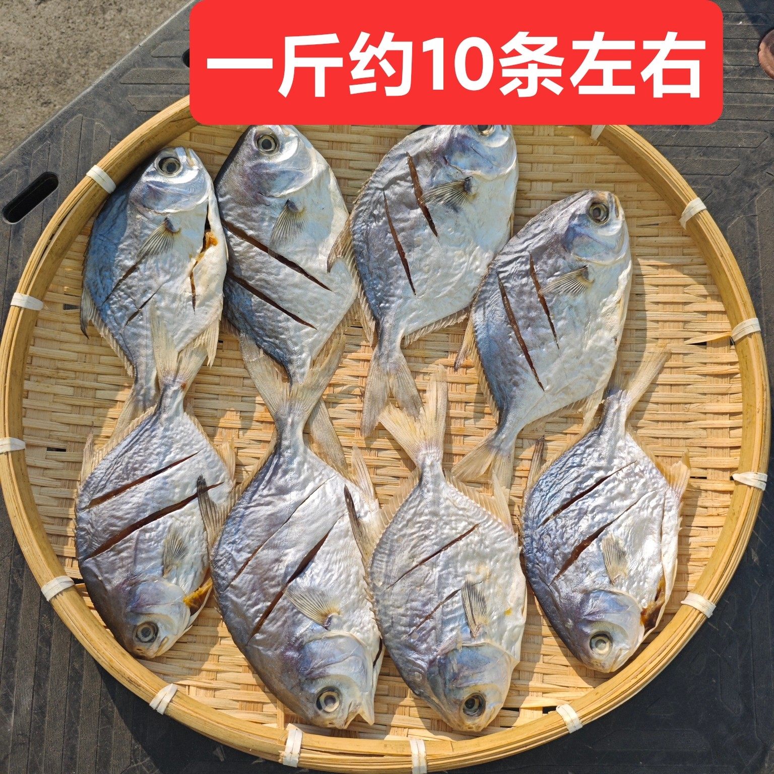 小金鲳鱼干广西北海渔民自晒海鱼干新鲜干净去内脏肉质结实干货,淘宝优惠券,粉丝福利购,淘宝优惠卷