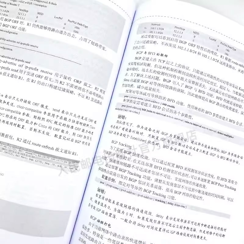 正版HCIE路由交换学习指南 人民邮电出版社 华为ICT认证丛书网络工程师认证考试教材 计算机网络教程书籍 路由器交换机书 - 图3