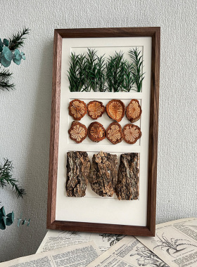 植物标本装饰画框干花家居照片背景墙壁画礼品相框画送成功人士