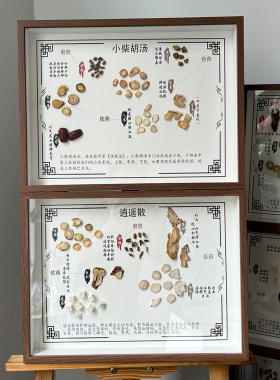 中药房中医学药品创意装饰品方剂标本DIY材料包展示中草药挂画