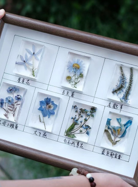 物标本树脂香薰精油透明