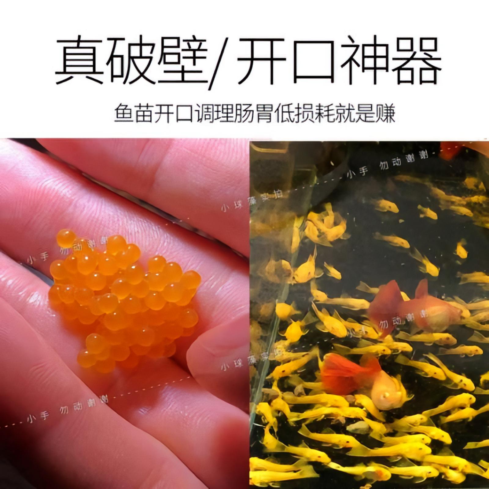 小球藻鱼食藻片胡子大帆异形鱼饲料底栖虾粮熊猫迷宫鼠菠菜螺旋藻-图1