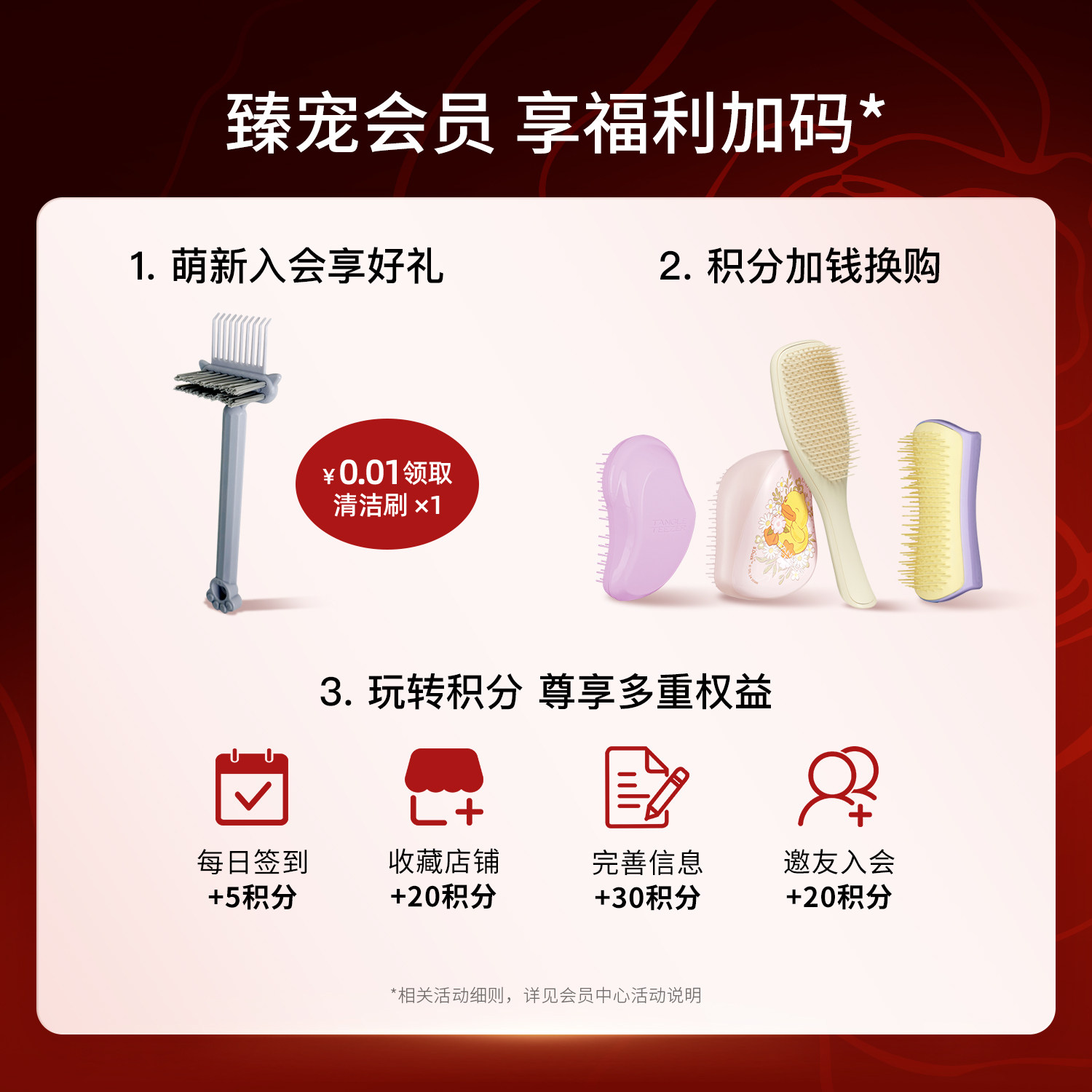 TangleTeezer英国进口王妃梳tt便携灵巧生日礼物女生顺发梳子女士