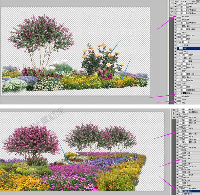 花境花镜植物配置搭配组团设计组合ps素材psd源文件免抠图效果图 - 图1